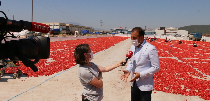 Torbalı plains turn red as tomatoes have been spread over for drying