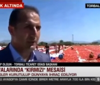 CNN Türk Kurutulmuş Domates