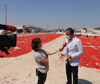 Torbalı plains turn red as tomatoes have been spread over for drying